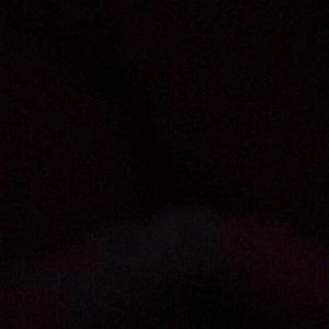 Meet your Posher, Paige